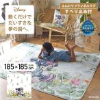ラグ ミッキー ＆ ミニー ディズニー カーペット マット 2畳 185×185 洗える おしゃれ かわいい ホットカーペット対応 キャラクター 滑りにくい