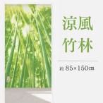 のれん おしゃれ 間仕切りカーテン 竹 竹林 涼風竹林 森 山 自然 暖簾 85×150 和風 洗える