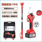 剪定バサミ 電動 高枝切りバサミ 充電式 高枝切 切断径40mm バッテリー付き 剪定ばさみ 剪定鋏 リチウム電池付き LCDディスプレイ 切断回数と残量表示