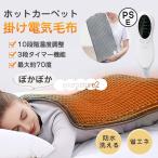 ホットカーペット 電気毛布 ホットマット 10段階温度調節 タイマー機能 敷きマット 過熱防止 一人用 ひざ掛け 在宅勤務 テレワーク 防寒 省エネ