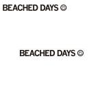 Yahoo! Yahoo!ショッピング(ヤフー ショッピング)BEACHED DAYS ビーチドデイズ BD Sticker-L ステッカー 【シール/カスタム/ロゴ/アウトドア】【メール便・代引不可】
