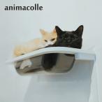 animakoreanimacolle кошка подножка башня для кошки кошка автобус сделано в Японии безопасность стена установка полки доска леса кошка .. compact DIY прозрачный 700032