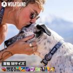 ウルフギャング WOLFGANG 首輪 犬用品 中型犬 Mサイズ カラー COLLAR マン&ビースト MAN&BEAST