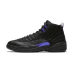 dark concord jordan 12
