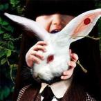 ALICE MIGMA SHELTER