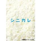 シニカレ完全版 DVD-BOX 藤ヶ谷太輔