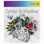 Colour by Number（CD＋Blu-ray） MONKEY MAJIK