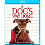 [Blu-Ray]bela. one da полный * Home Blue-ray &DVD комплект ashu Ray *jado