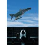  Phantom * four ever ~F-4E Phantom II. легенда японский пустой .... разряд 50 год ~ все три глава второй глава... полет разработка эксперимент .. авиация собственный .*