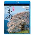 Relaxes BD 日本の一本桜 4K撮影作品 [Blu-ray]