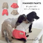 マナーパンツ＆スカート snowdrop マナーベルト付き スカート パンツ 犬 ドッグ 服 犬服 犬用品 DOG dog ペット服 犬の服 ペット ゆうパケット対応