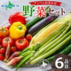 ( предварительный заказ товар ) Hokkaido Tokachi fmbe. овощи комплект подарок для подарок подарок Hokkaido овощи набор .. длина 8 месяц последняя декада -9 месяц последняя декада отгрузка предположительно 