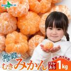 ショッピングフードロス 訳アリ 皮剥き 冷凍みかん 1kg 愛媛 西宇和産 セット 大容量 業務用 むかん 冷凍みかん 愛媛 国産 冷凍フルーツ 冷凍ミカン デザート シャーベット 果物 爆買