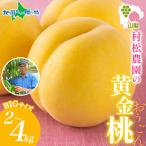 . сосна сельское хозяйство . желтый золотой персик 2kg(4-6 шар )/4kg(8-12 шар ).. Momo персик желтый персик . прямая поставка от производителя большой шар .. фрукты фрукты свежий популярный прекрасный тест .... подарок . сосна сельское хозяйство .7 месяц последняя декада -8 месяц последняя декада 