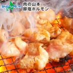 豚塩ホルモン 880g 焼肉 ギフト お 肉 BBQ バーベキュー 食材 お取り寄せ グルメ