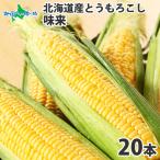 ショッピングとうもろこし とうもろこし 北海道 20本 約8.6kg お取り寄せ 美味しい トウモロコシ 味来 甘い お土産 BBQ バーベキュー グルメ ギフト プレゼント 食べ物