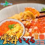 ウニ いくら 丼 海鮮丼 セット 4人前 うに イクラ ホワイトデー 海鮮 ギフト お取り寄せ グルメ gift set