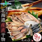 北海道 干物 セット 詰め合わせ 9点 魚 海鮮 ギフト 母の日 ひもの ホッケ サンマ カレイ 鰊 鰯 秋鮭 コマイ 鯖 プレゼント