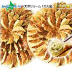 業務用 餃子 冷凍 国産 120個 食べ物 ぎょうざ おつまみ 冷凍餃子 お取り寄せグルメ ギフト