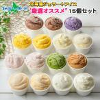 ショッピングお中元 アイス アイス 北海道 ジェラート 食べ比べ 15個9種 厳選アイス アイスクリーム ギフト スイーツ セット