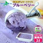 ブルーベリー ジェラート 2L 業務用 アイス 北海道 アイスクリーム ギフト お取り寄せ スイーツ プレゼント お菓子