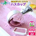 ハスカップ ジェラート 2L 業務用 アイス 北海道 アイスクリーム ギフト お菓子 お取り寄せ スイーツ