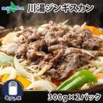 ジンギスカン タレ(塩ダレ) 北海道 ラム 肉 味付き 羊肉 お取り寄せ グルメ ギフト 食品 計600g