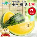 金色羅皇 高糖度15度前後 北海道産 黄色い スイカ 2Lサイズ以上 8月下旬-9月下旬こんじきらおう すいか 大玉 西瓜 甘い 高級 1玉 5.5-6.5kg前後