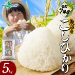 令和7年産 魚沼産 コシ
