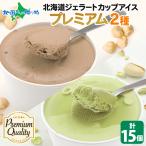 ショッピングお中元 アイス 北海道 アイスクリーム ジェラート 厳選プレミアムセット 15個入 カップアイス ヘーゼルナッツ ピスタチオ