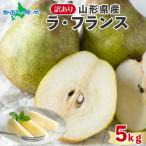 ラフランス 訳あり 5kg 山形県産 洋梨 ラ・フランス 洋ナシ フルーツ 旬の果物 産地直送 11月中-12月下旬