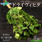  vi hita sauna товары 3шт.@ Hokkaido белый береза aroma wis черный uryuu сухой vi hita sauna палатка sauna 