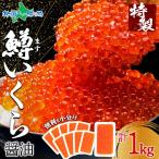 鱒いくら醤油漬け 100g 10パック セット マス イクラ 醤油漬け 魚卵 お土産 鱒子 北海道 冷凍 小分け 寿司 グルメ 海鮮