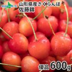 さくらんぼ 佐藤錦 山形産 600g 優品 