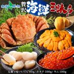 ショッピングカニ福袋 贅沢海鮮三昧セット お歳暮 海鮮セット 蟹 かに 毛蟹 カニ 帆立 ほたて ホタテ いくら イクラ 雲丹 ウニ 新鮮 冷凍 福袋 海鮮福袋 北海道 海鮮セット 送料無料