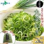  9 статья лук порей 2mm колесо порез . cut 3kg столица. . лук порей. . столица овощи Kyoto (столичный округ) производство колесо порез .. лук-батун ramen udon тест .. час короткий легкий разрезанный запад . магазин Kyoto (столичный округ) черепаха холм город 