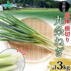  9 статья лук порей . body корень порез .3kg столица. . лук порей. . столица овощи Kyoto (столичный округ) производство колесо порез .. лук-батун ramen udon тест .. час короткий легкий разрезанный запад . магазин Kyoto (столичный округ) черепаха холм город 