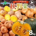  Hokkaido производство осень овощи ваш заказ содержание случайный комплект 8kg in ka. ......... Chan тыква шар лук порей картофель юг . лук репчатый осень овощи большая вместимость выгода 