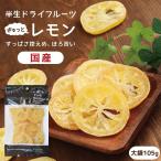 ドライフルーツ 国産 レモン 大袋 105g 送料無料 輪切り 皮まで美味しい 酸味控えめ ポイント消化 ドライレモン 南信州菓子工房 ギフト ヨーグルトに