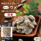 ドライフルーツ 国産 梅 大袋 90g 送料無料 うめ ウメ ドライ梅 白加賀梅 甘酸っぱい ポイント消化 メール便 食品 おやつ 南信州菓子工房 ギフト お年賀