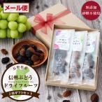 信州ぶどう3種 ドライフルーツ ギフトBOX シャインマスカット ナガノパープル 種無し巨峰 無添加 砂糖不使用 長野県産 国産 送料無料 ポイント利用