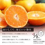 アイテムID:6251583の画像6枚目