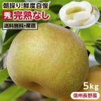 梨 長野県産 送料無料 秀品 5kg 幸水 