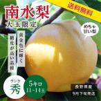  груша юг вода 5kg Nagano префектура производство превосходящий товар бесплатная доставка .. груша нет .. фрукты .. для подарок подарок 