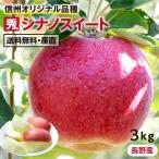 りんご シナノスイート 3kg 秀品 送料無料 長野県産 葉とらずリンゴ -Y10J 旬の果物 フルーツ 産地直送 お取り寄せ 贈答用 贈り物 ギフト