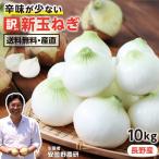  новый шар лук порей Nagano префектура производство есть перевод 10kg S~L размер .. бесплатная доставка прямая поставка от производителя дешево замутненный . сельское хозяйство .50~80 шар ввод .. нет tama лук-батун -S05G лук репчатый новый шар сельское хозяйство дом указание овощи 