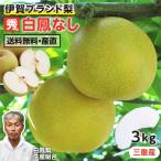 三重県産 白鳳梨 なし 3kg 秀品 7〜9玉 幸水 豊水 2種から選べる 産地直送 完熟なし 無袋栽培 伊賀ブランド 高糖度 送料無料
