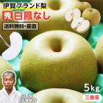 白鳳梨三重県産なし5kg秀品幸水豊...