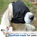  собака домашнее животное маска глаз .. маска предотвращение опора .. сдерживание . после терапия .. экспертиза 