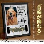  домашнее животное memorial фоторамка ошейник . орнамент .... фоторамка собака кошка домашнее животное .. домашнее животное предметы для домашнего буддийского алтаря memorial товары зажим тип домашнее животное домашний алтарь love собака love кошка мысль .